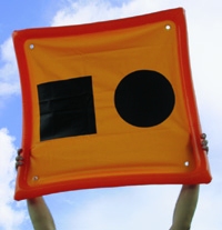 dvdsflag2.jpg